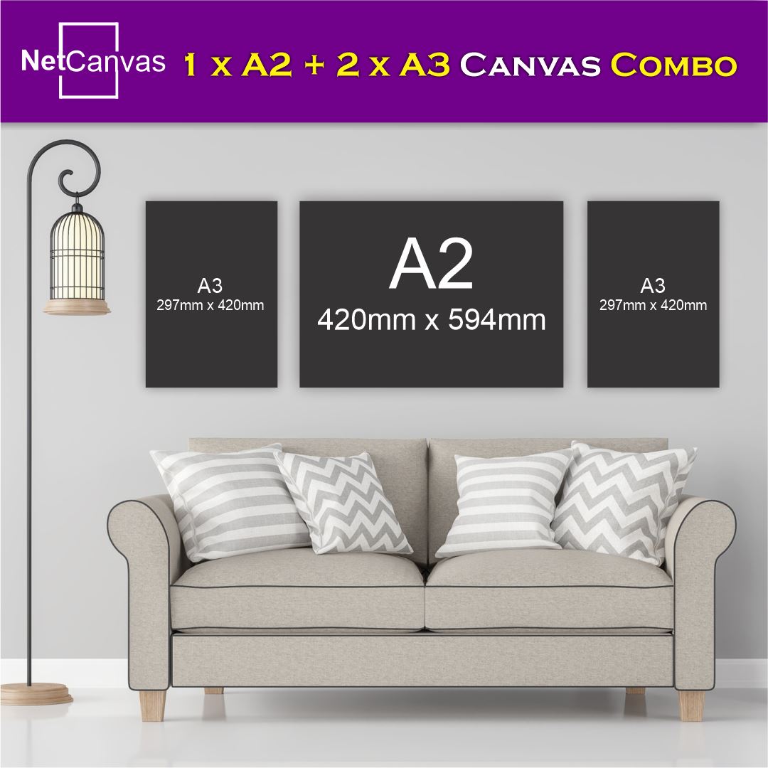 Copy of 1 x A2 (Large Feature) Plus 2 x A3 Classic Canvas NetCanvas 